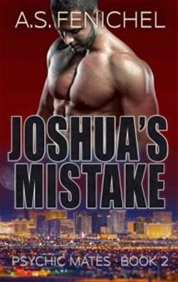 Joshua's Mistake