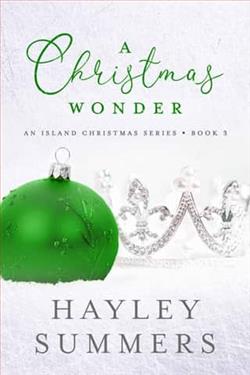 A Christmas Wonder 3