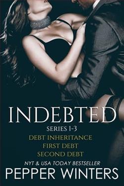 Indebted 1-3: Boxed Set