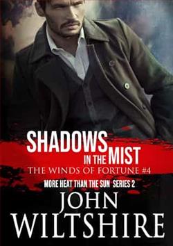 Shadows in the Mist