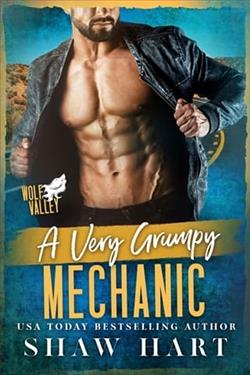 A Very Grumpy Mechanic