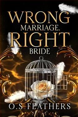 Wrong Marriage. Right Bride