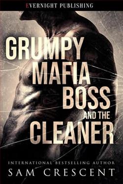 Grumpy Mafia Boss and the Cleaner