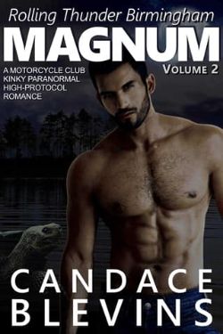 Magnum, Volume 2