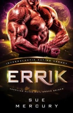 Cover of Errik by Sue Mercury