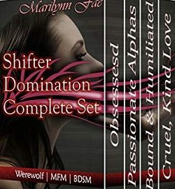 Shifter Domination Complete Set