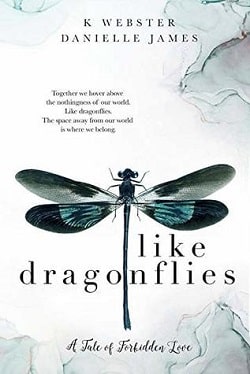 Like Dragonflies by K. Webster