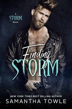 The Storm (The Storm 3.5) by Samantha Towle
