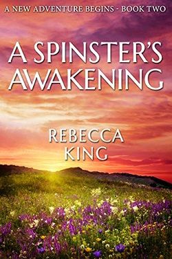 A Spinster's Awakening (A New Adventure Begins - Star Elite 2) by Rebecca King