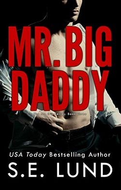 Mr. Big Daddy (Mr. Big 3) by S.E. Lund