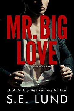 Mr. Big Love (Mr. Big 2) by S.E. Lund