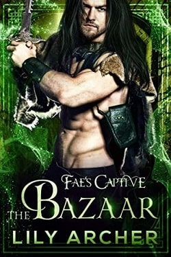 The Bazaar (Fae's Captive 6) by Lily Archer