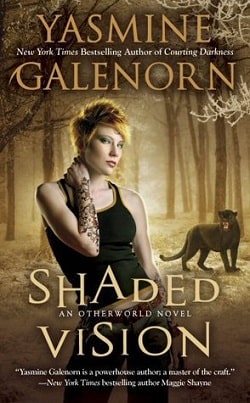 Shaded Vision (Otherworld/Sisters of the Moon 11) by Yasmine Galenorn
