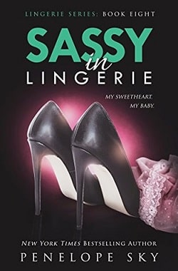 Sassy in Lingerie (Lingerie 8) by Penelope Sky