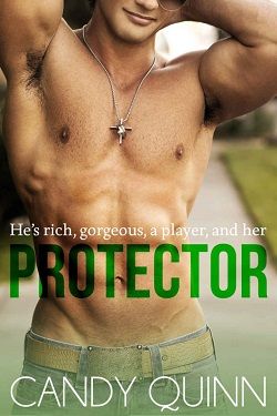 Protector: A Billionaire Step-Brother Romance by Candy Quinn