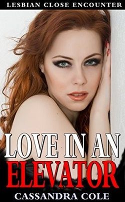 Love in an Elevator by Cassandra Cole