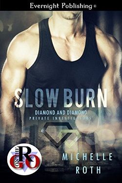 Slow Burn (Diamond and Diamond Private Investigators 2) by Michelle Roth