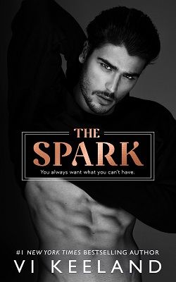 The Spark by Vi Keeland