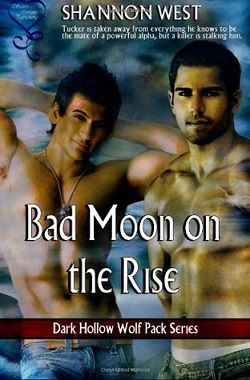 Bad Moon on the Rise (Dark Hollow Wolf Pack 7) by Shannon West