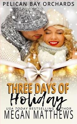 Three Days of Holiday by Megan Matthews