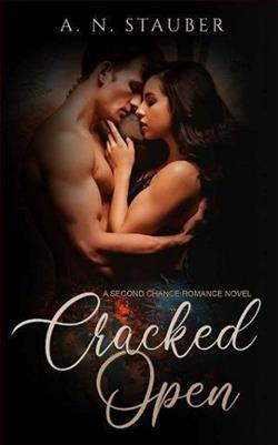 Cracked Open by A.N. Stauber