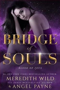 Bridge of Souls by Meredith Wild