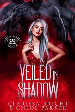 Veiled in Shadow by Clarissa Bright