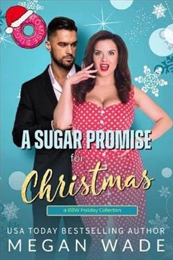 A Sugar Promise for Christmas by Megan Wade