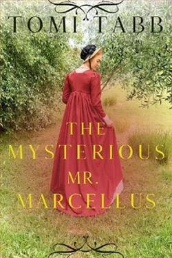 The Mysterious Mr. Marcellus by Tomi Tabb