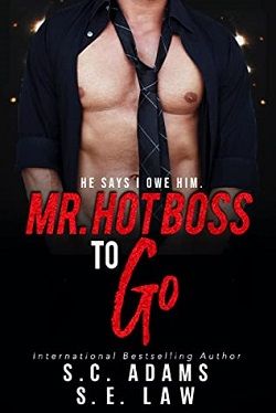 Mr. Hot Boss To Go (A Forbidden Romance) by S.E. Law