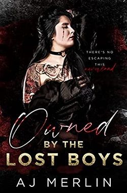 Owned By The Lost Boys by A.J. Merlin
