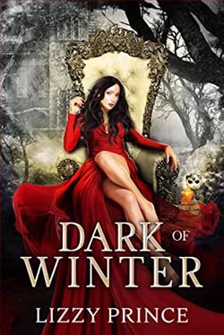 Dark of Winter (Wild Haven 1) by Lizzy Prince