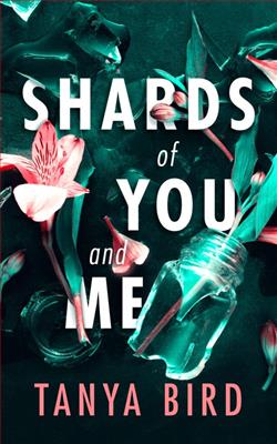 Shards of You and Me by Tanya Bird