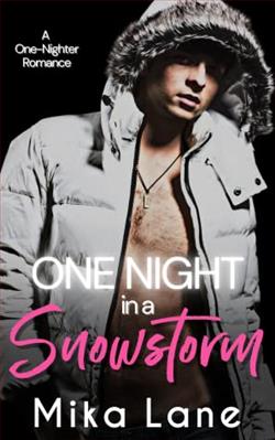 One Night in a Snowstorm by Mika Lane