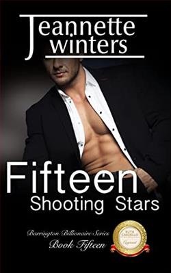 Fifteen Shooting Stars by Jeannette Winters