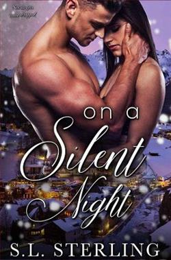 On A Silent Night by S.L. Sterling