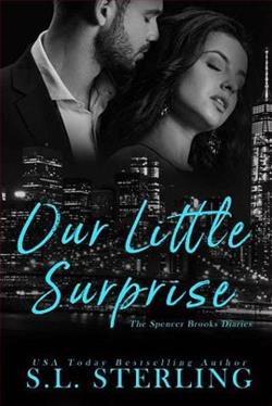 Our Little Surprise by S.L. Sterling