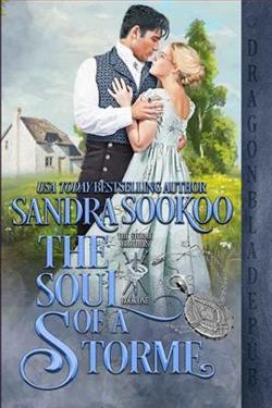 The Soul of a Storme (The Storme Brothers 1) by Sandra Sookoo