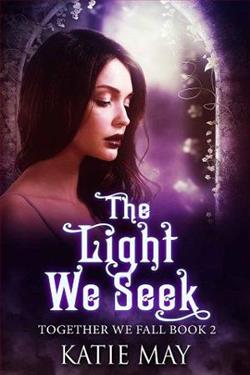 The Light We Seek (Together We Fall 2) by Katie May