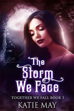 The Storm We Face (Together We Fall 3) by Katie May
