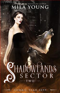 Shadowlands Sector 2 by Mila Young