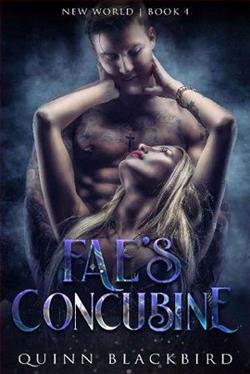 Fae's Concubine (Dark Fae: Black World 4) by Quinn Blackbird