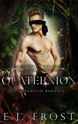 Quaternion by E.J. Frost