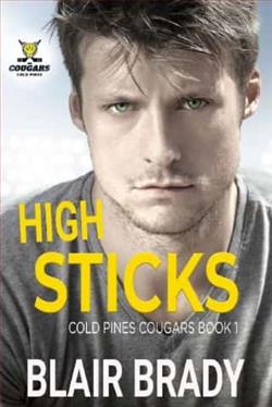 High Sticks by Blair Brady