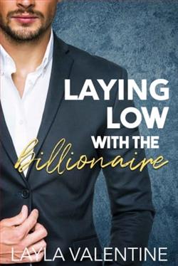 Laying Low With the Billionaire by Layla Valentine