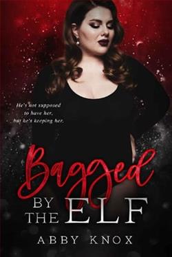 Bagged By the Elf by Abby Knox