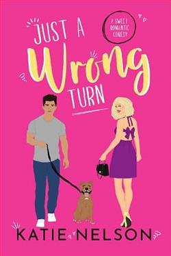 Just a Wrong Turn by Katie Nelson