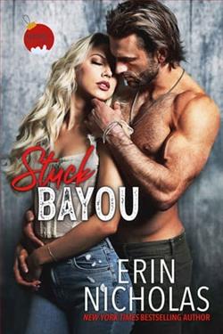 Stuck Bayou by Erin Nicholas
