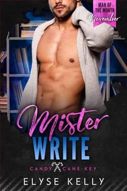 Mister Write by Elyse Kelly
