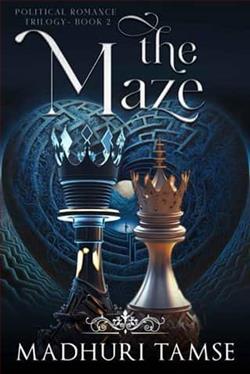 The Maze by Madhuri Tamse